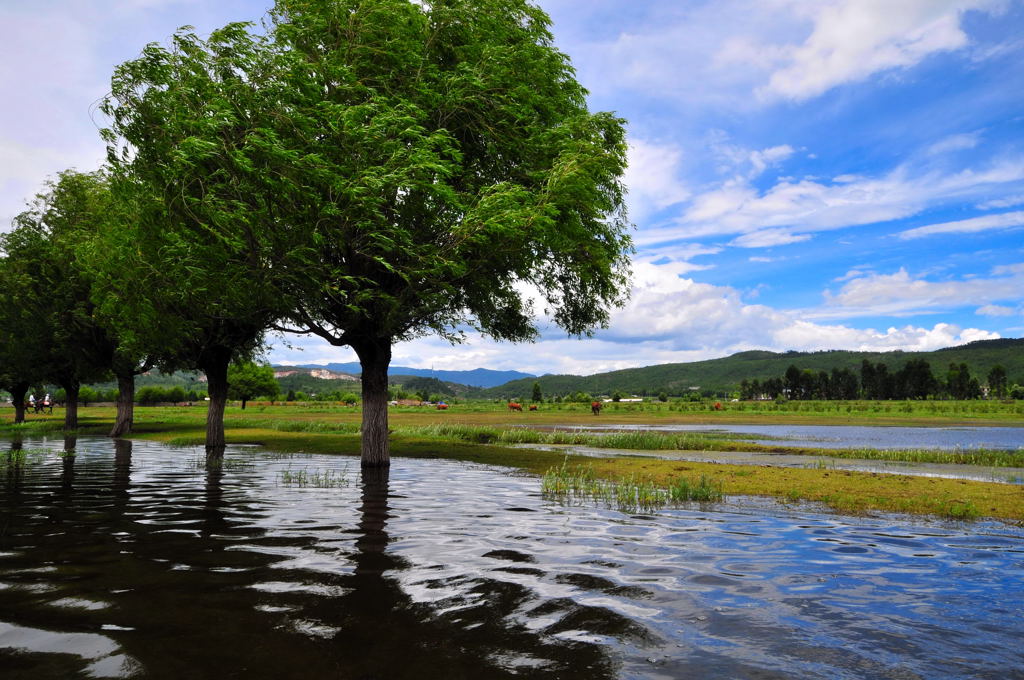 丽江山水风光 摄影 浙江黑土地