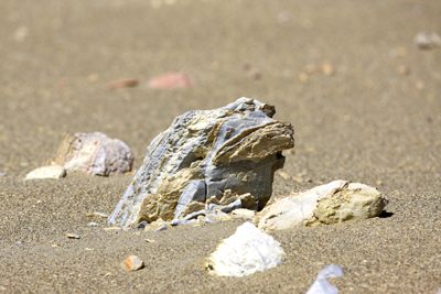 隔壁青蛙 摄影 海丽