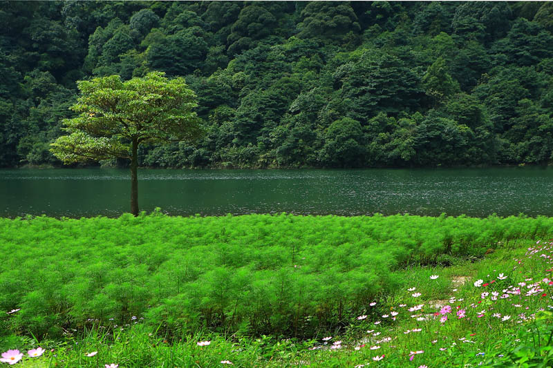 山中无夏 摄影 张开日月眼