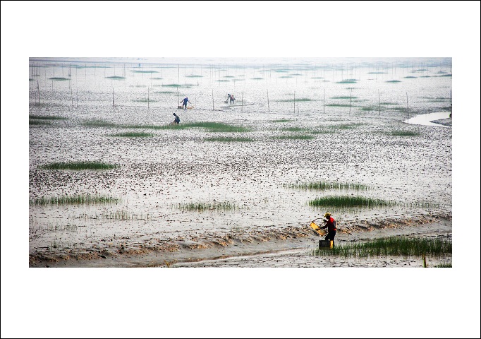 赶海 摄影 越女茶