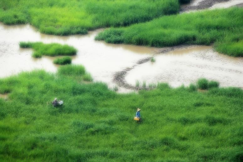 走过青草地 摄影 随浪