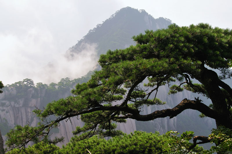 黄山风光 摄影 阿佬