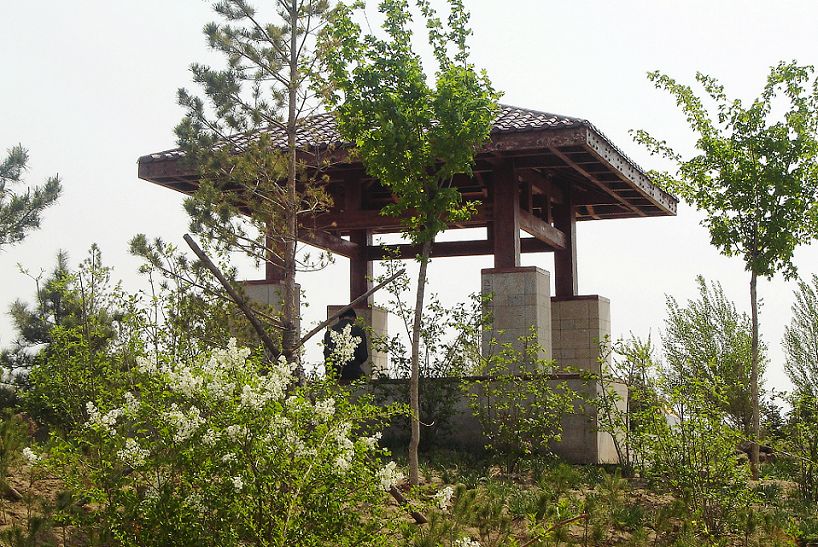 空中楼阁 摄影 山杏核