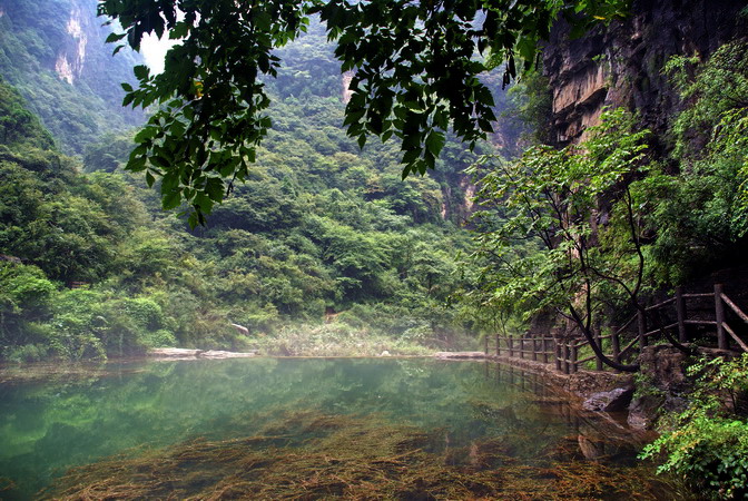 山林处子 摄影 喜庆