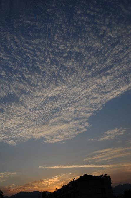 鱼鳞天空 摄影 不肯洗澡的鱼