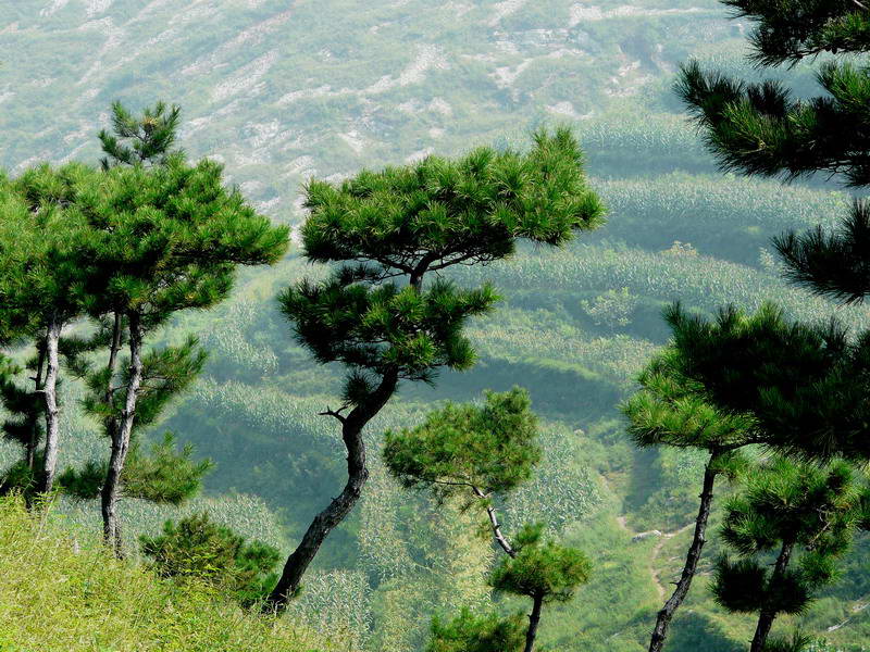 劲松 摄影 风尘剑客