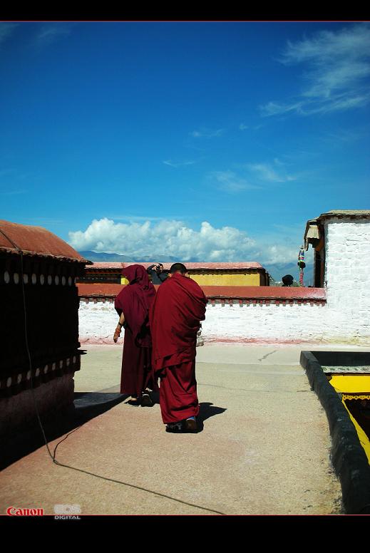 同为大昭寺游客的喇嘛 摄影 游游5913