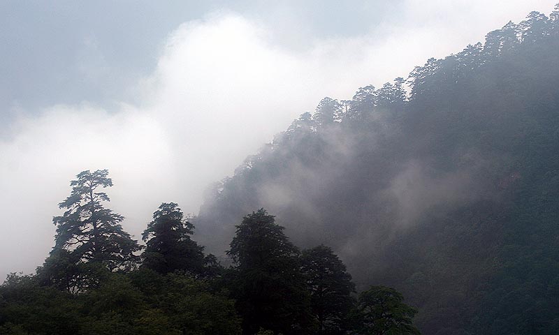 水墨九寨 摄影 我的文文