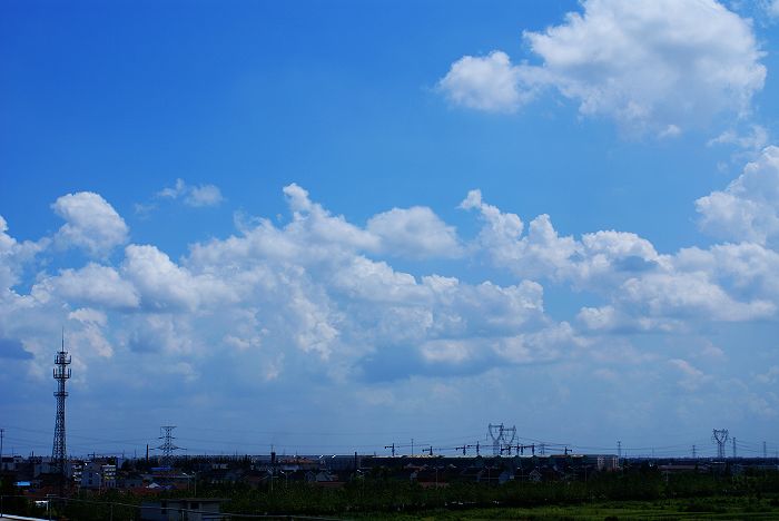 天空 摄影 叶子杂草