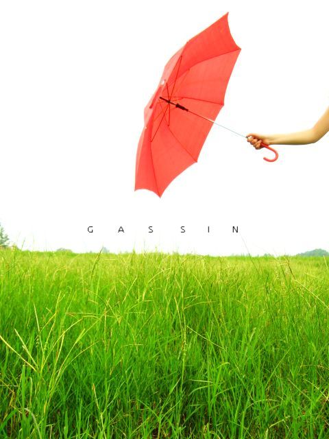 八月夏野。跳跃的雨伞与花朵[1] 摄影 Gassin木涅