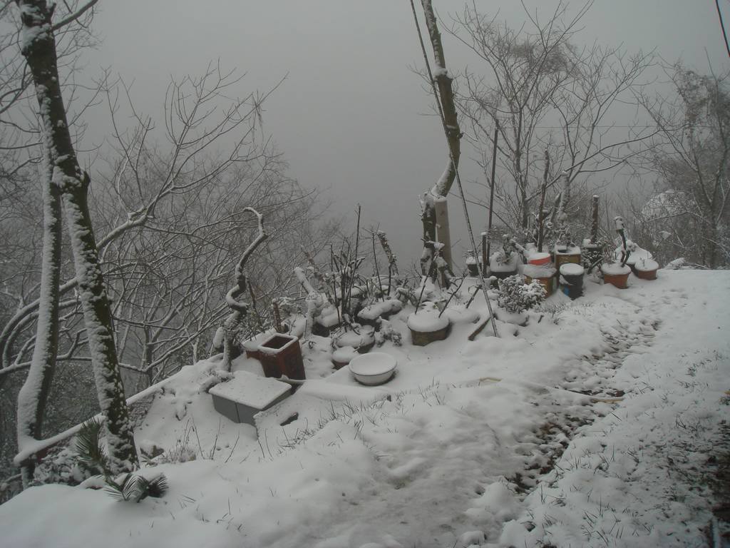 新年前的雪 摄影 五月二日