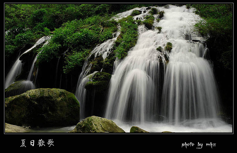 《夏日欢歌》 摄影 都来评评