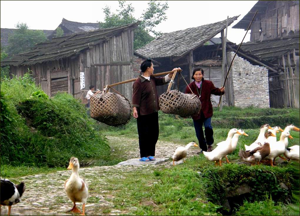 隆里-----村头小景 摄影 少不努力