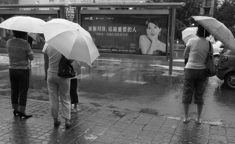 雨中的沈阳－－13 摄影 渭水垂竿