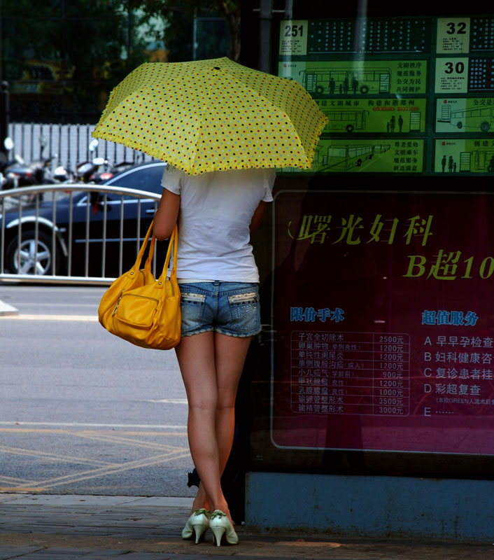 等待 摄影 大树无影