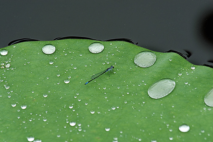 雨后 摄影 风象之谷