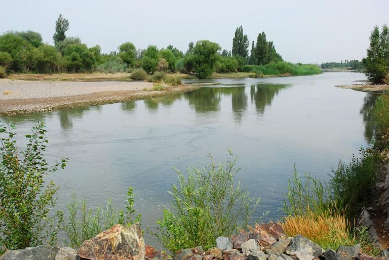 黑河湿地 摄影 weixianghua