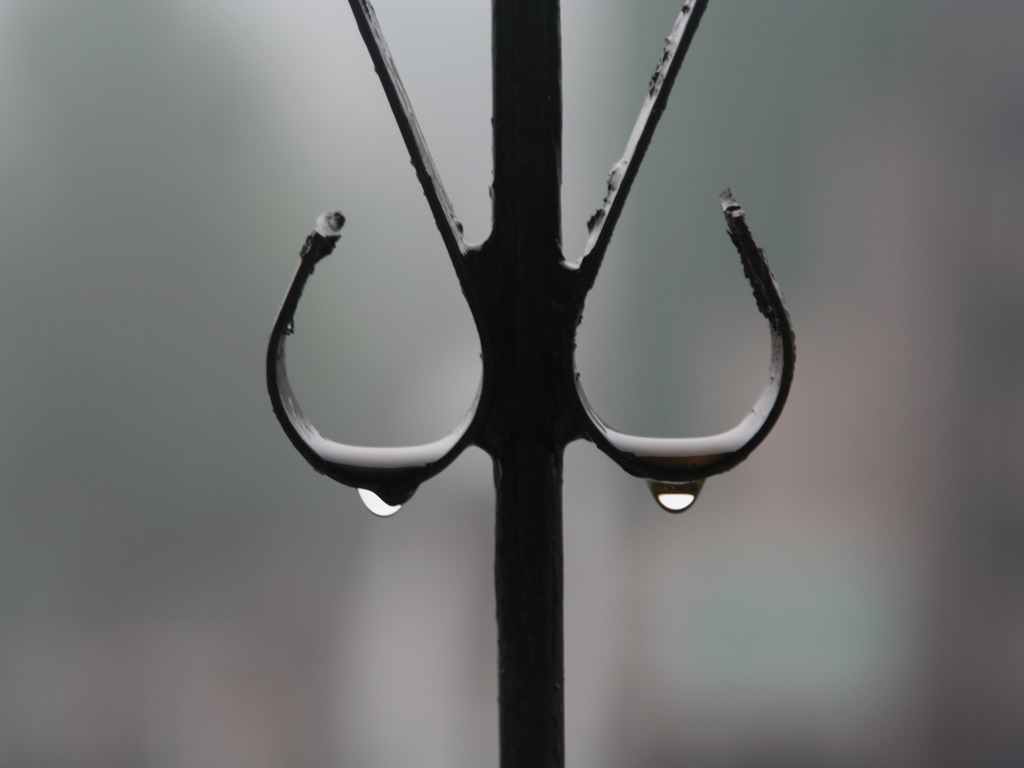 听雨 摄影 火冰