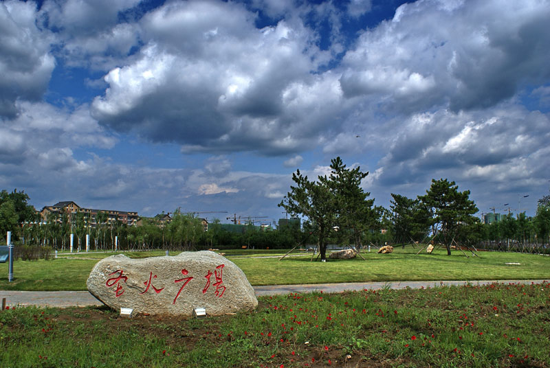 沈阳奥体公园 摄影 学君