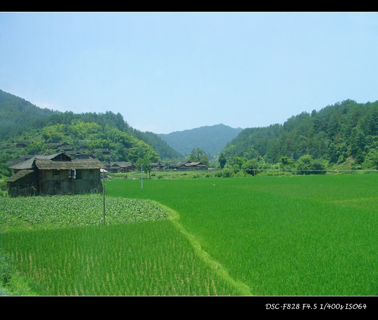 田园 摄影 sunrise2006