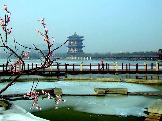 冰雪中的大唐芙蓉园 摄影 年年