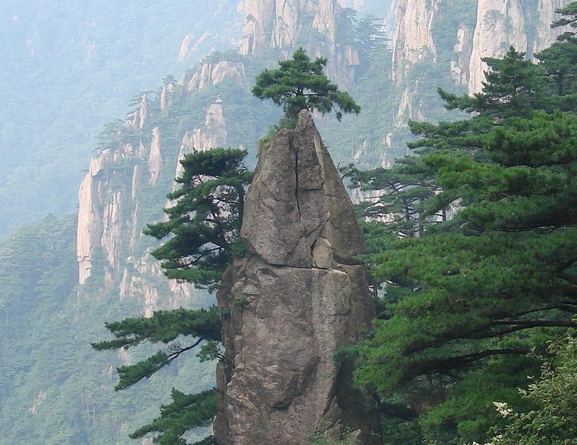 妙笔生花 摄影 金泰雨虹