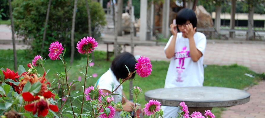 花样年华 摄影 光影之乐