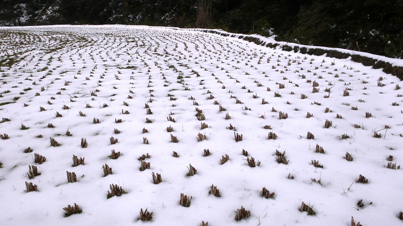 等待 摄影 烂柯山