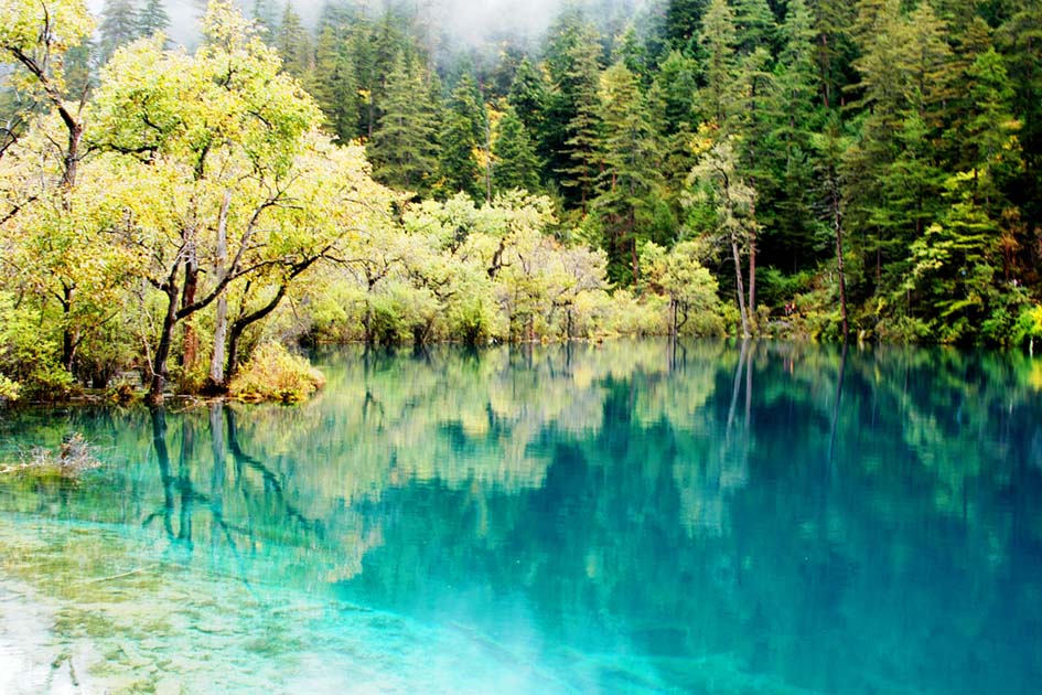 九寨沟一景 摄影 秋天的人