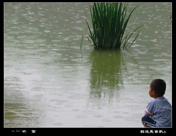 —— 听  雨 摄影 相逢是首歌a