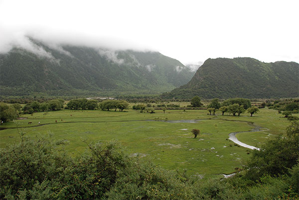 峡谷牧场 摄影 独行高原