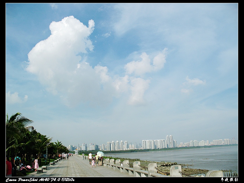 深圳湾 摄影 韦婕