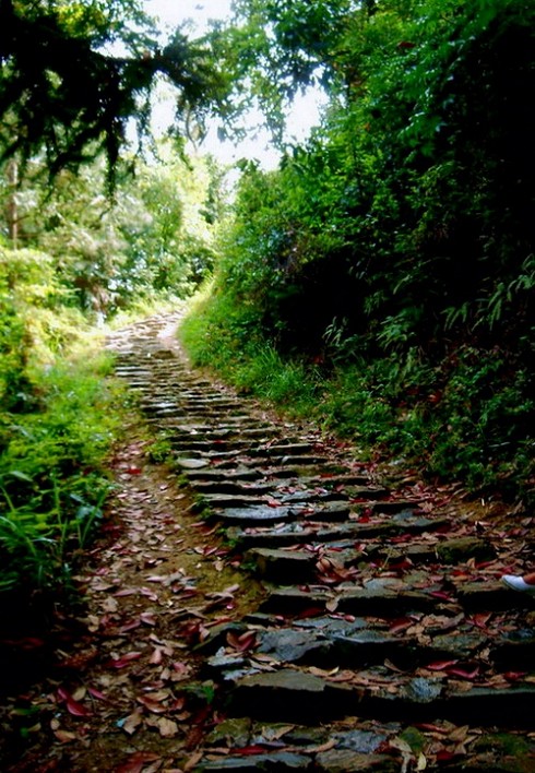 曲径通幽 摄影 山云海月