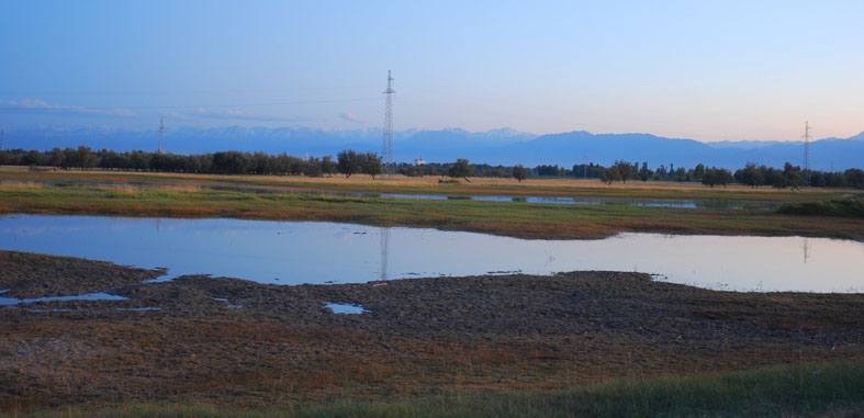 黑河湿地 摄影 weixianghua