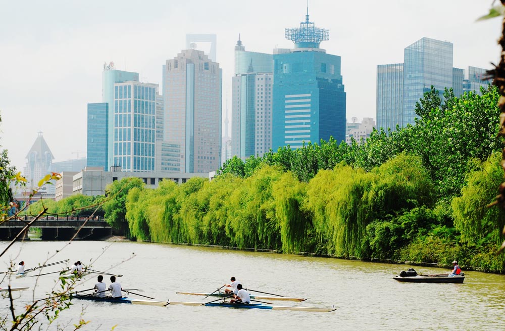 都市下的休闲地 摄影 快乐的小虎