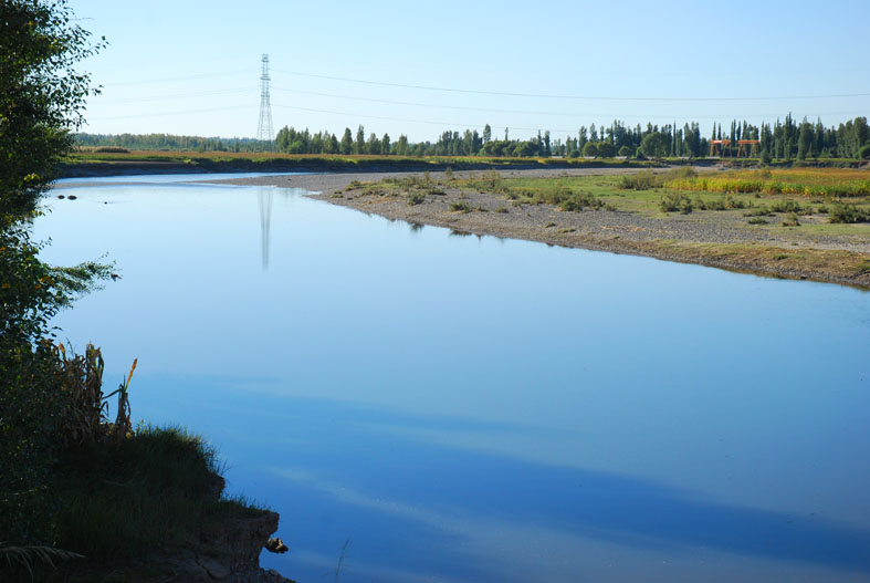 黑河湿地 摄影 weixianghua