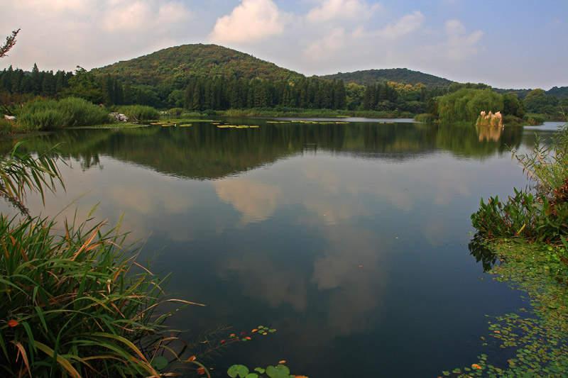 小风景 摄影 麦克