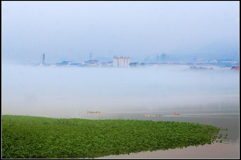 不速之客 摄影 海音