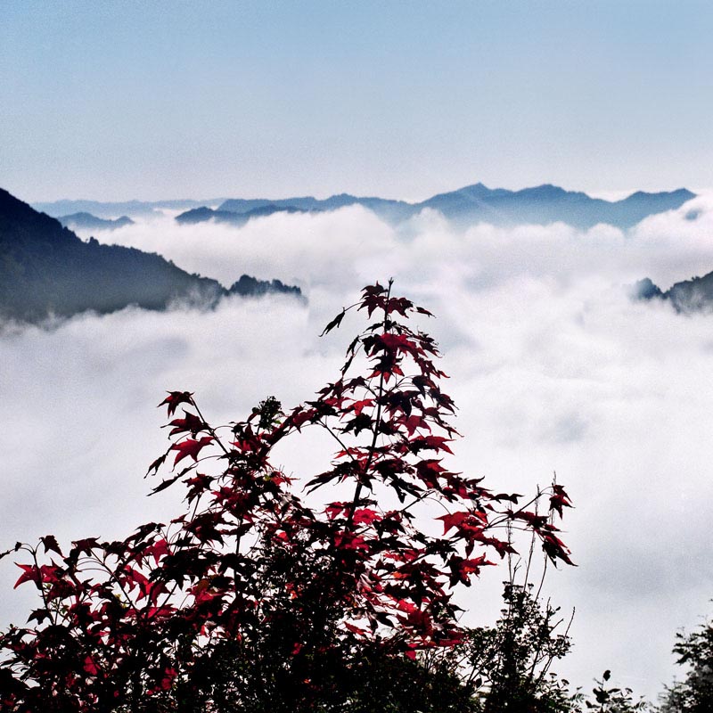 傲视苍穹 摄影 doudouye