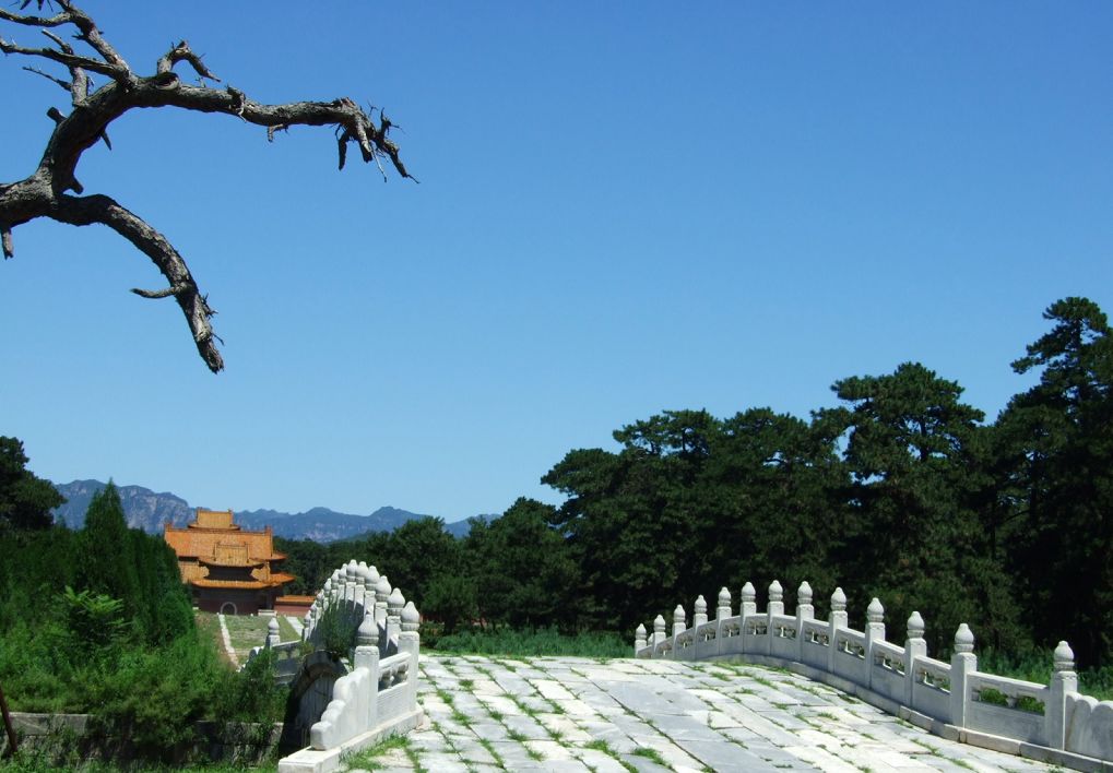 清西陵 摄影 鲤江