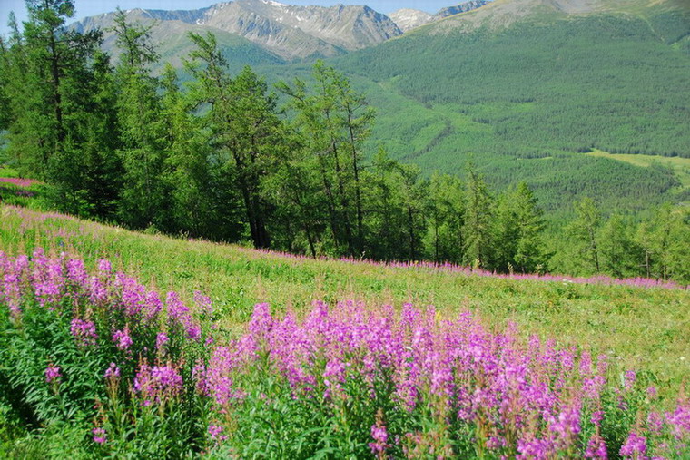 世外桃源 摄影 雪山风暴