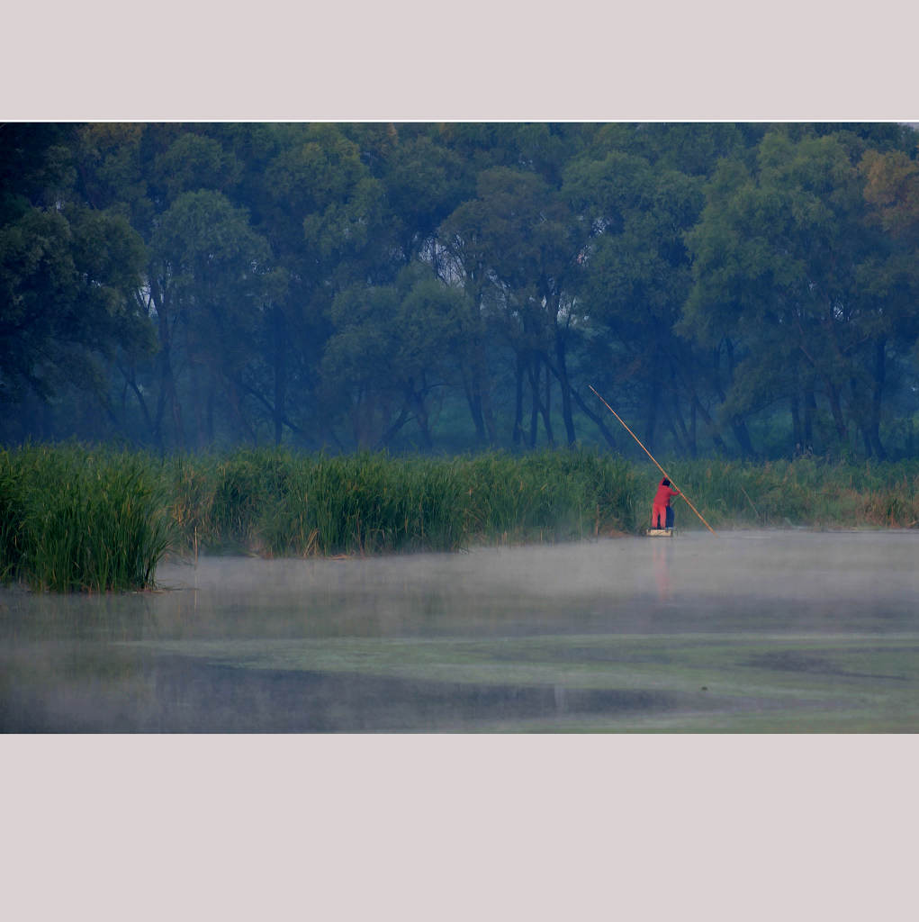 晨曲 摄影 XIHUANXUE