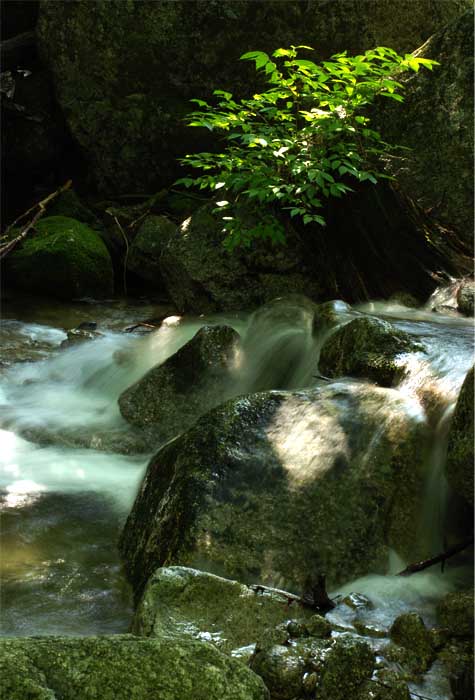 高山流水——5 摄影 独上江楼望月