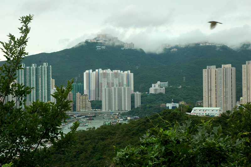 香港掠影1 摄影 走进大自然