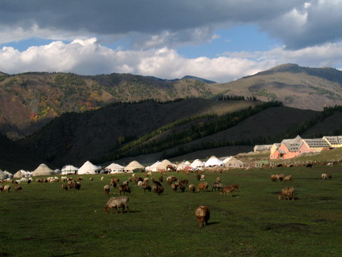 高原 摄影 qiangl