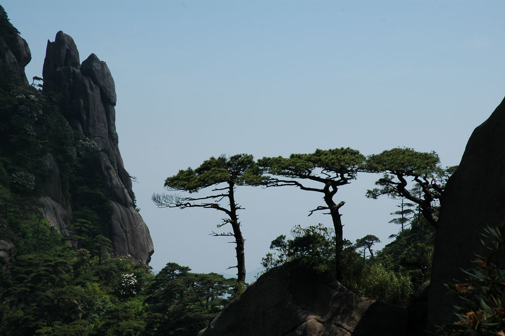 三清山 摄影 老豆