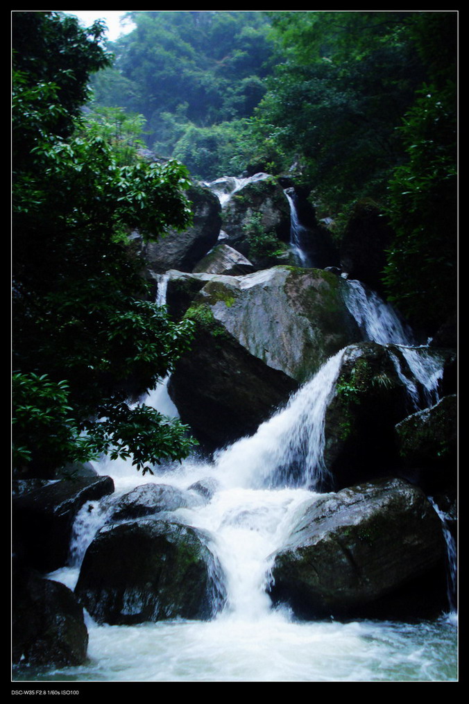 雨后金佛山 摄影 善待生活