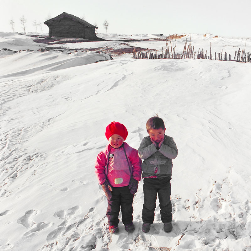 雪地兄妹 摄影 doudouye