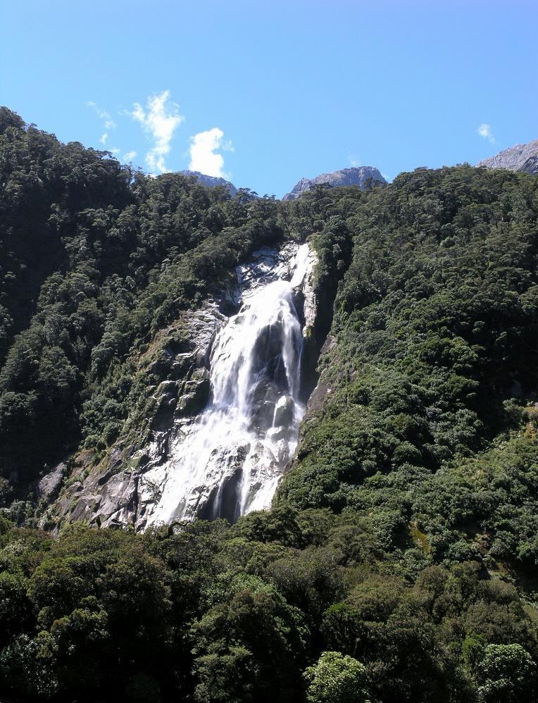 随拍，寻声而进。 摄影 小雨J