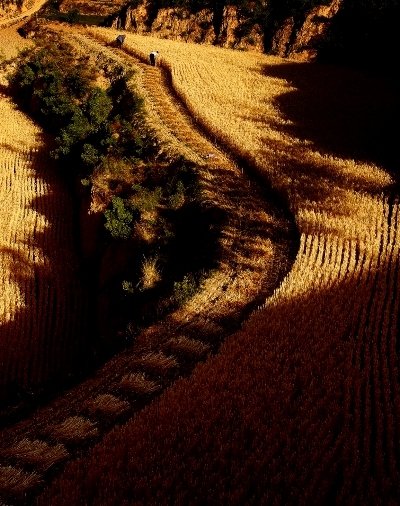 幸福路 摄影 朝花夕摄